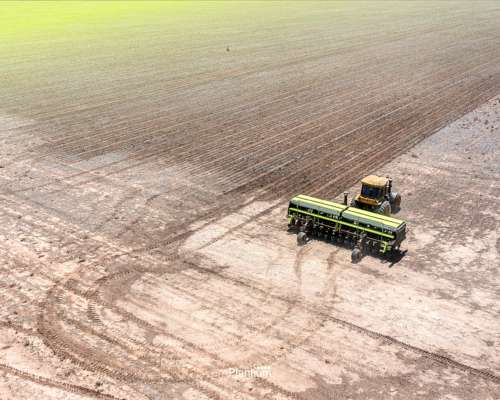 Piloto Automático Plantium Steerdd + SBOX7 (e-dif)