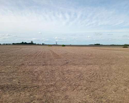 66 HA. Zona Hernández. Agrícola sin Desperdicio