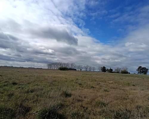 302 HA, Ganadero, Chascomus