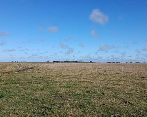 470 Ha Ganadero Chascomus