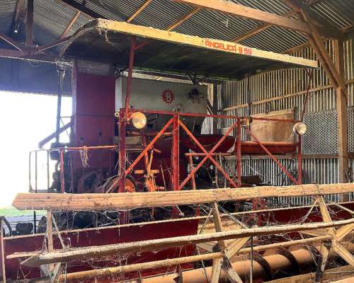 Cosechadora Angelica B-58 en Excelente Estado