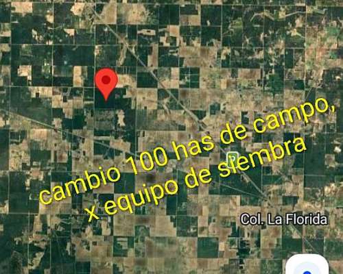 Vendo 100 Has en Castelli, Chaco