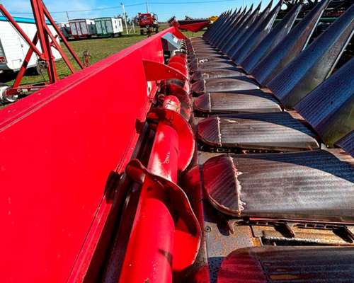 Cabezal Maicero Mainero 2008 - 18 a 52 - Usado.