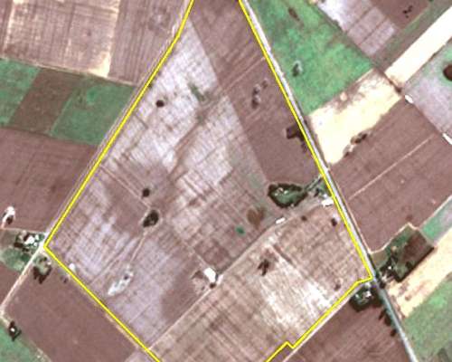 Excelente Campo Agricola Sobre Ruta en Arrecifes