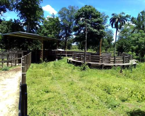 Venta Campo Mixto en Formosa - Pirane