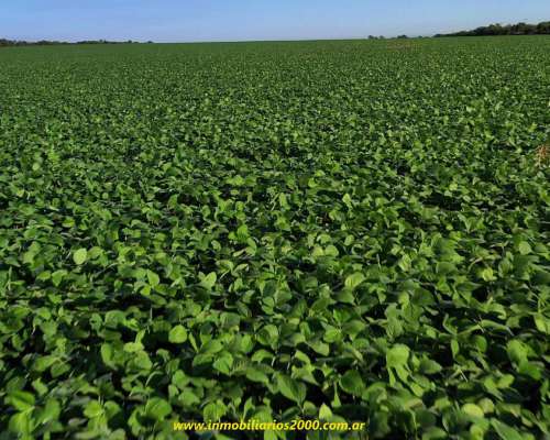 Córdoba Sarmiento 118 Has Agr+icolas Campaso