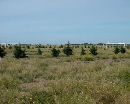 12 Has. Bahia Blanca