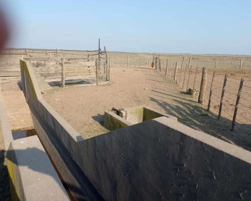 Venta Campo Agricola a Tranquera Cerrada (hacienda Bradford)