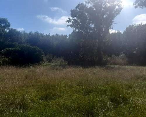 Campo Agricola 190 Ha Ayacucho