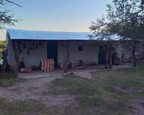 Saladillo 108 Has S/ Asfalto