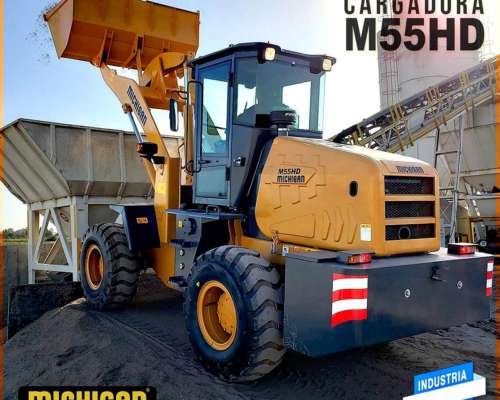 Pala Cargadora Michigan M55hd -servicampo Tandil