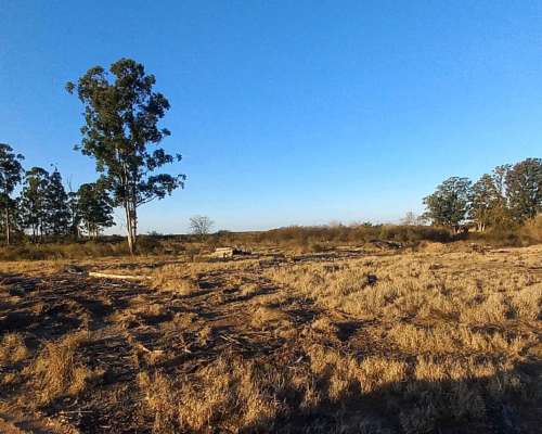 Campo de 30 Hectareas