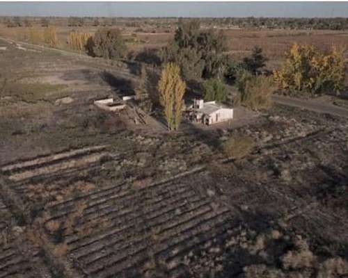 Arrendamiento Agrícola 21 Has con Derecho de Riego – 25 de M