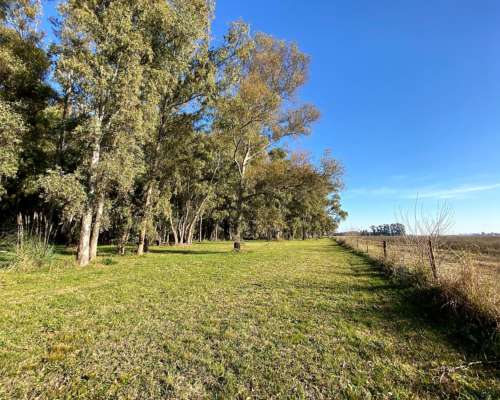 Chacra de 4 Has. en Parada Robles