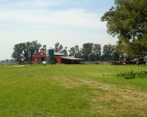 Campo Mercedes - Producción y Turismo