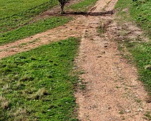 Vendo Campo 390 Hectáreas Entre Chajarí y Federacion
