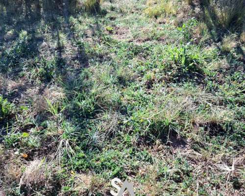 Se Vende Campo Ganadero de 415 en General Acha, la Pampa