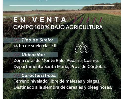 Campo Agricola Zona Monte Ralo, Córdoba