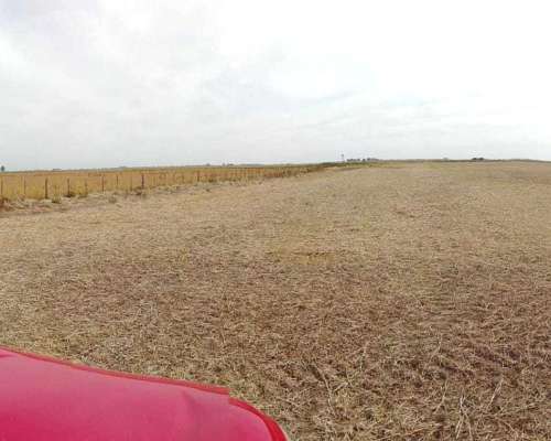 185 Has Agricolas Gral Pinto