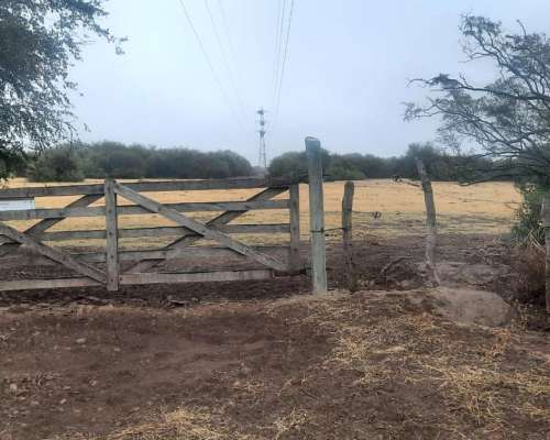 Dueño Vende Campo 47 Ha en Pozo Cavado S/ Ruta 146