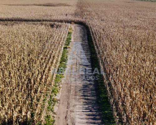 60 Ha Bayauca, Prov. de Buenos Aires