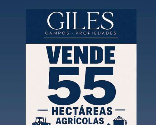 Oportunidad Campo Agrícola 55 Hectáreas San Pedro
