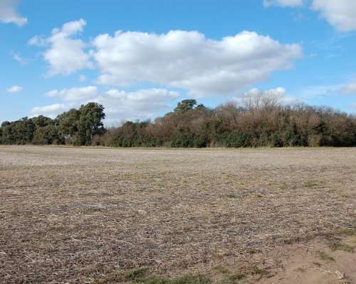 550 HA. Agrícolas en 25 de Mayo