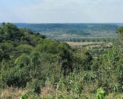 Hermosa Chacra de 25 Ha Arroyo del Medio