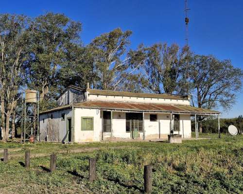 Alto Alegre, Patiño, Formosa - 46.106 Ha
