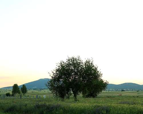 Venta Campo en 25 de Mayo, Buenos Aires - 1600 Ha