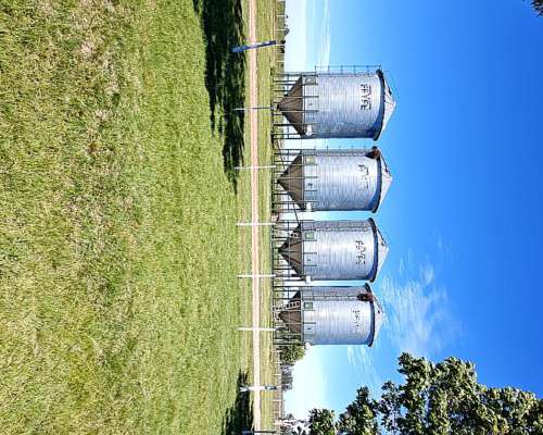 Venta. 371 Has, en Gualeguaychú, Haras “LA Trinidad”.