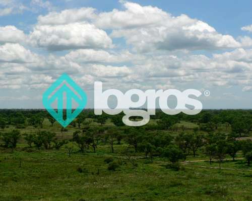 Campo en el Tunal, Salta