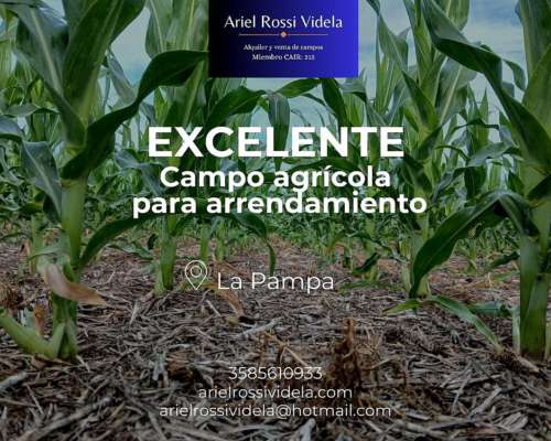 Disponemos de Campo Agricolas en Arrendamiento la Pampa