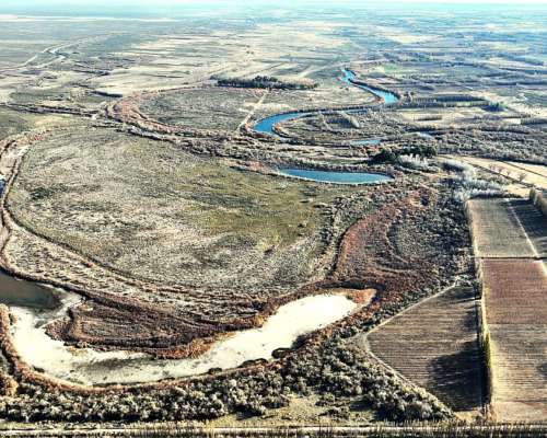 Lamarque, Avellandera, Río Negro - 16.387 Ha