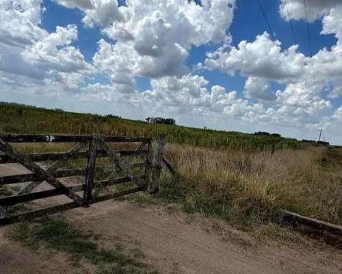 Campo en Zona Ayacucho