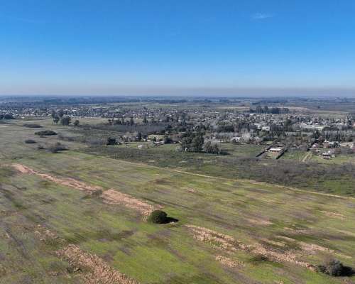 Pcia. de Buenos Aires - Marcos PAZ 185 Has