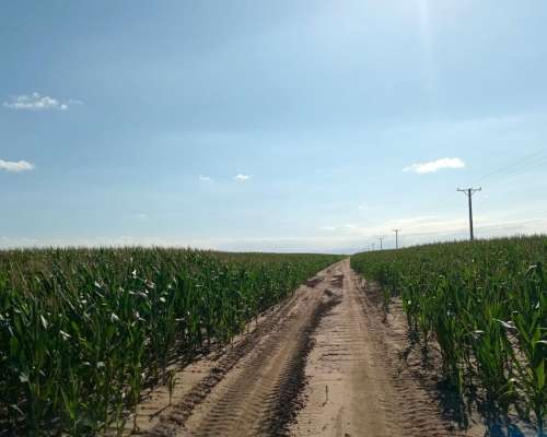 69 Ha en Venta en Monte Cristo