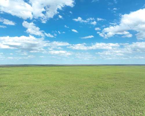 Pcia. de San Luis - Nahuel Mapa 3458 Ha