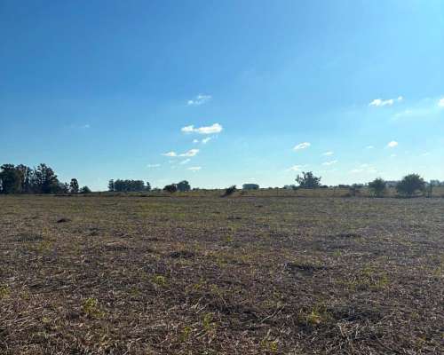 200 Has. Agrícola Cercano a Ruta