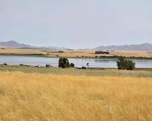 154 Has en Dique Paso de las Piedras