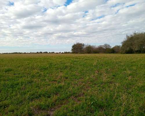 165 Ha Guardamontes. Buen Acceso. Campo Mixto