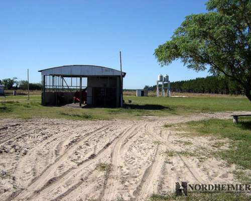 Concepción, Corrientes - 2.793 Ha
