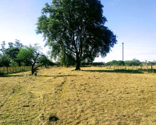 Vendo Lote de 25 X 25 Mts. en Mercedes - Corrientes