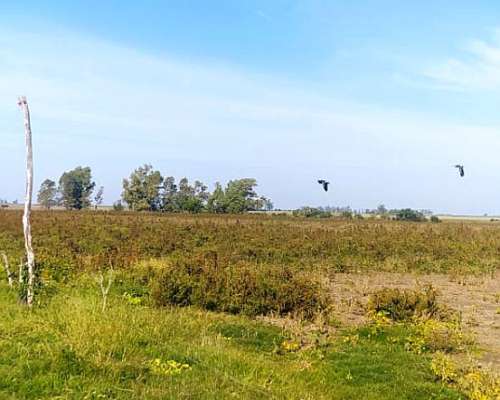 30 Hectareas Agricolas Ganaderas