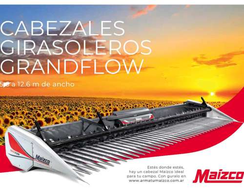 Girasolero Maizco Grandflow de 21 a 52cm Disponible - Agroads