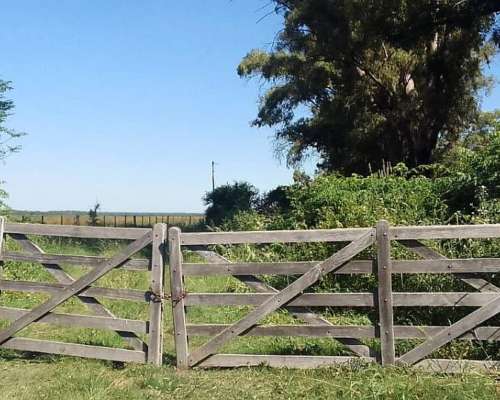 Campo Mixto Colonia Silva - Agricola y Monte