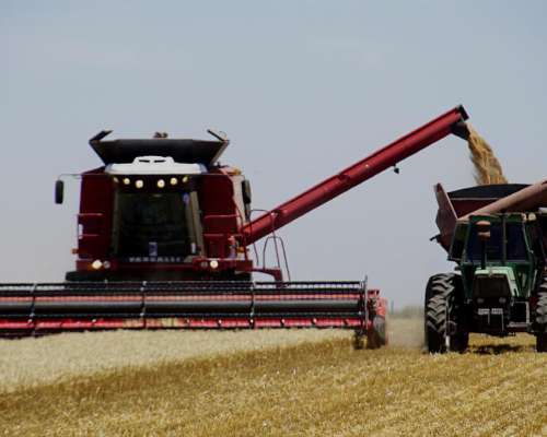 Nueva V-1550 - Nuevo Motor