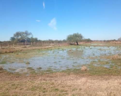 Vendo Campo 23 Has Vera Santa FE Sobre Ruta 3 (toba)