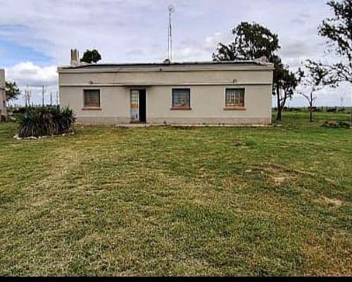 Campo en Chasico - Torquinst 665 Has