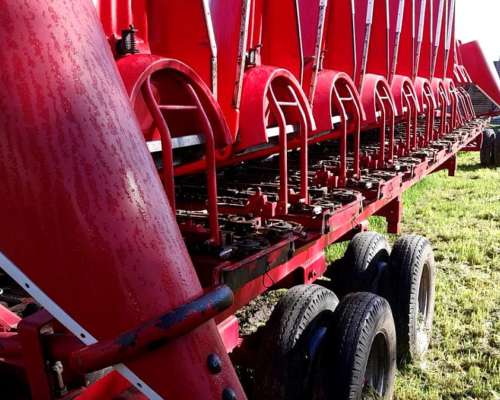 Maicero Ombu 12 a 70- 2004 - muy Bueno